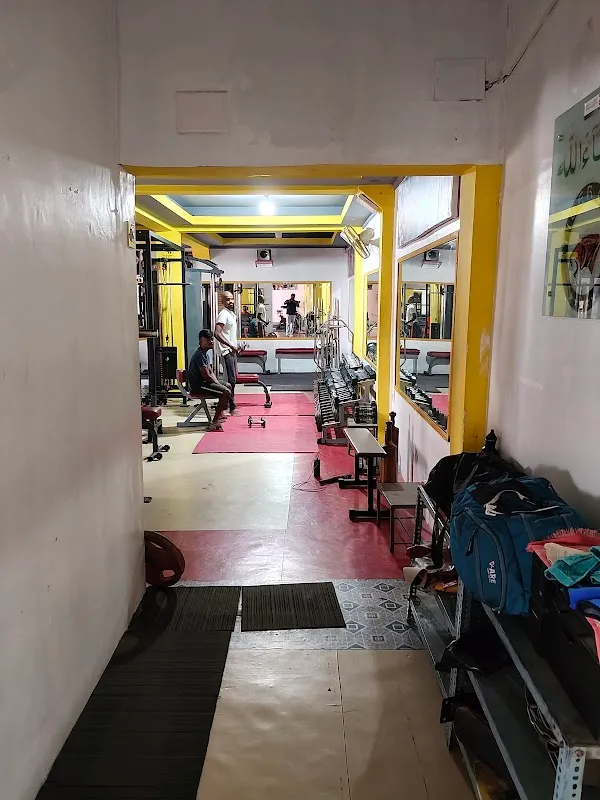 TIGER GYM & Fitness Center