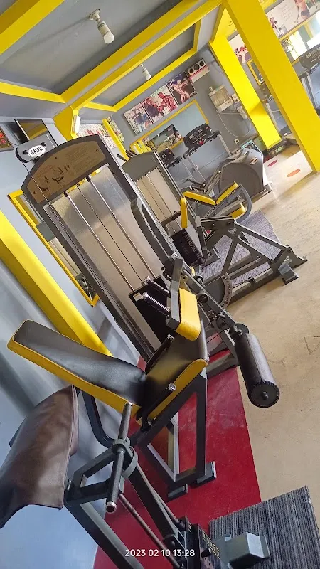 TIGER GYM & Fitness Center