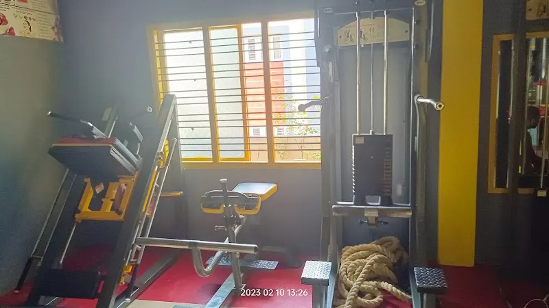 TIGER GYM & Fitness Center