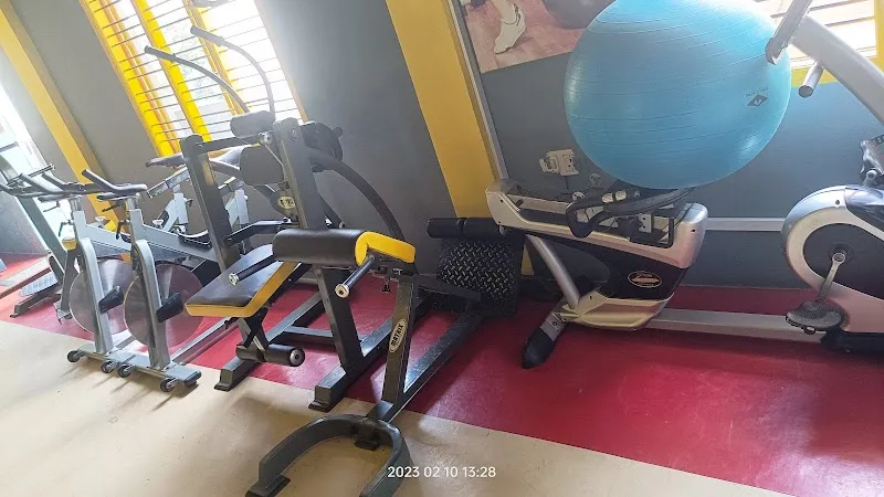 TIGER GYM & Fitness Center