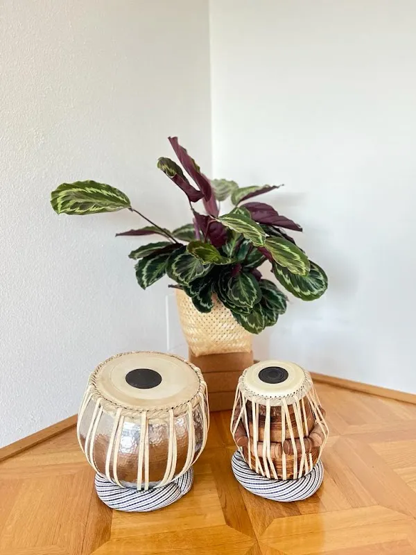 Manas Yoga Studio Vienna