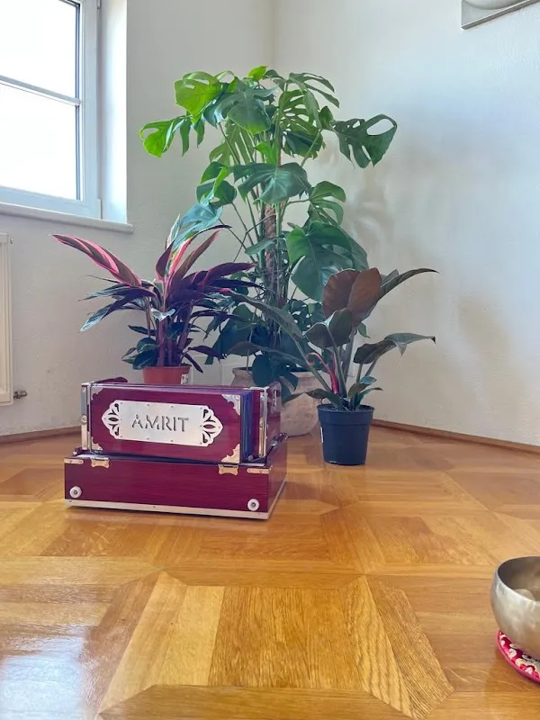Manas Yoga Studio Vienna
