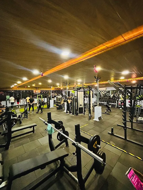 Muscle Mantra