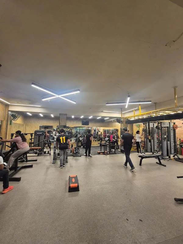 The Pit Gym