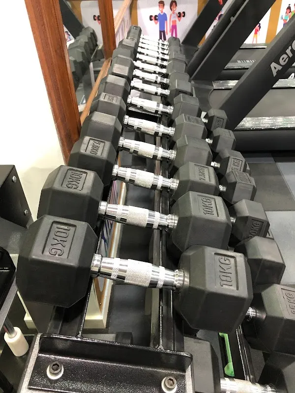 Stay Fit Gym