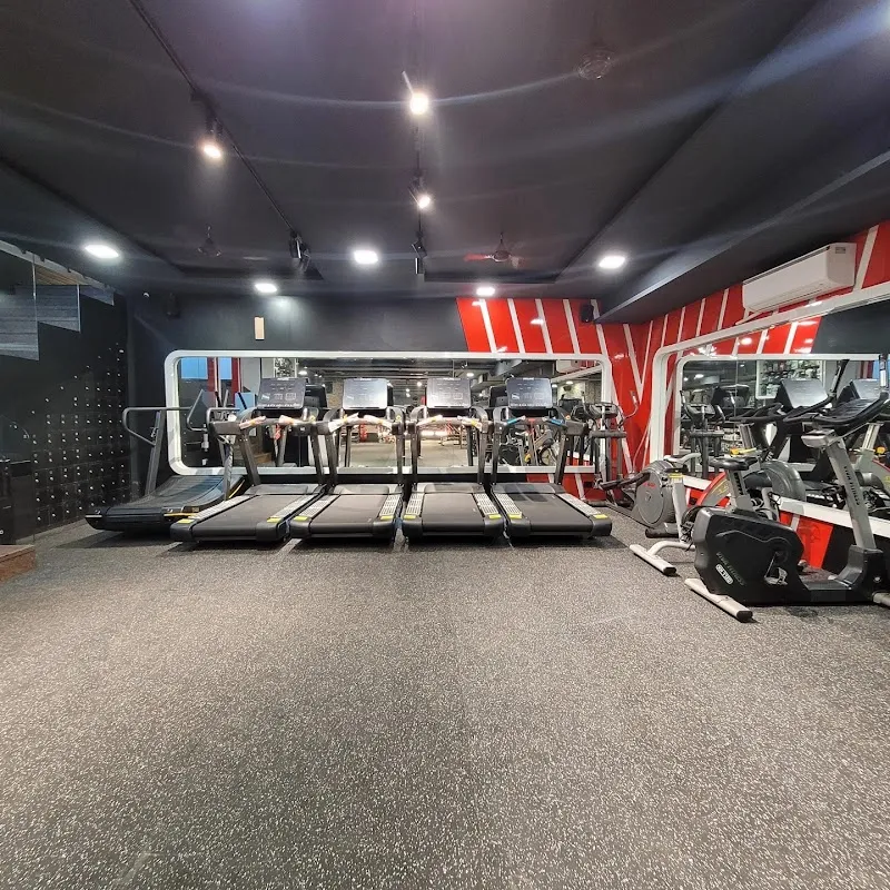 Physio Flex Gym
