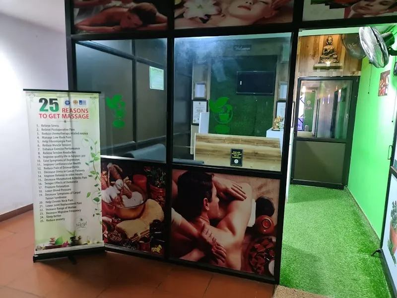 Natural Ayurvedic and Wellness Spa