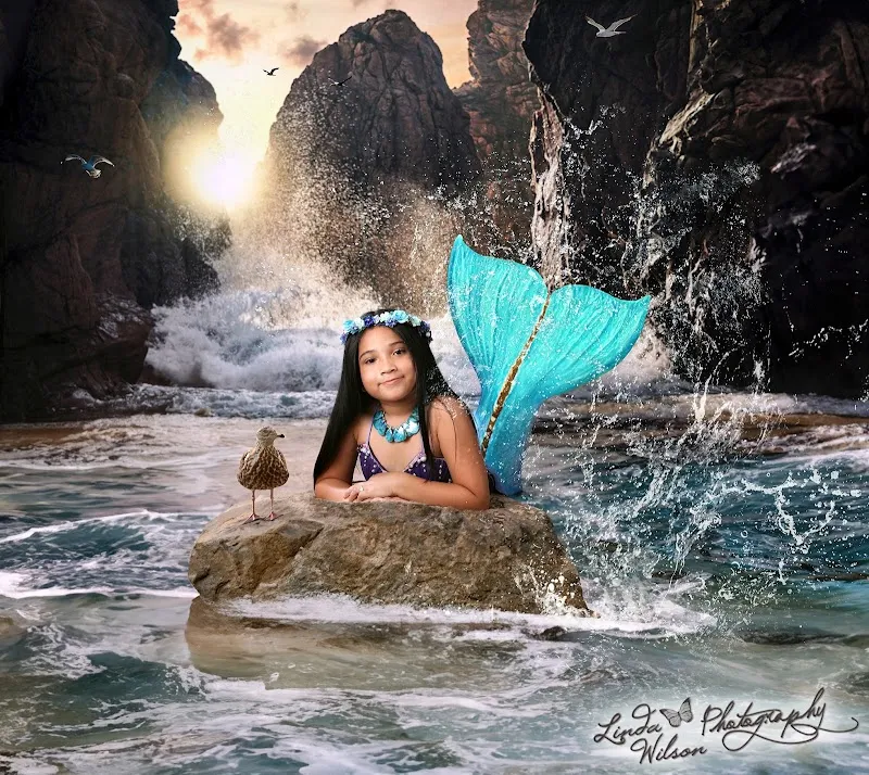 LINDA WILSON PHOTOGRAPHY