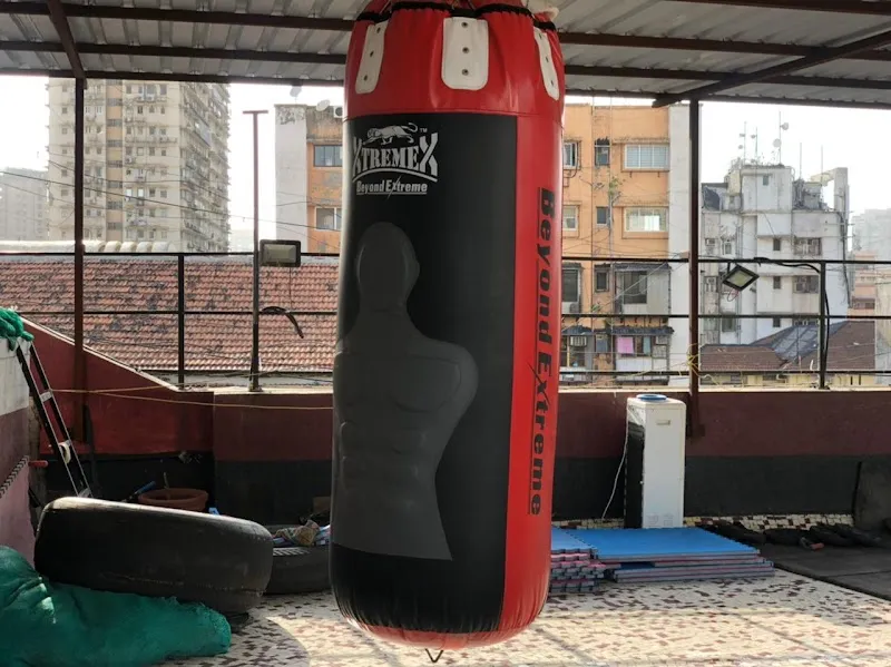Physio Active Pro Fitness Gym