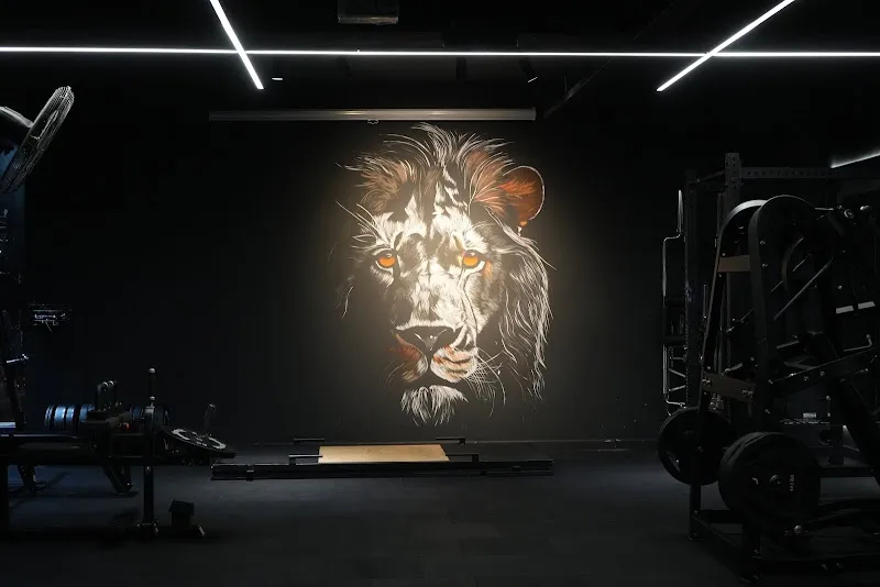 Fitsters Athletic Club