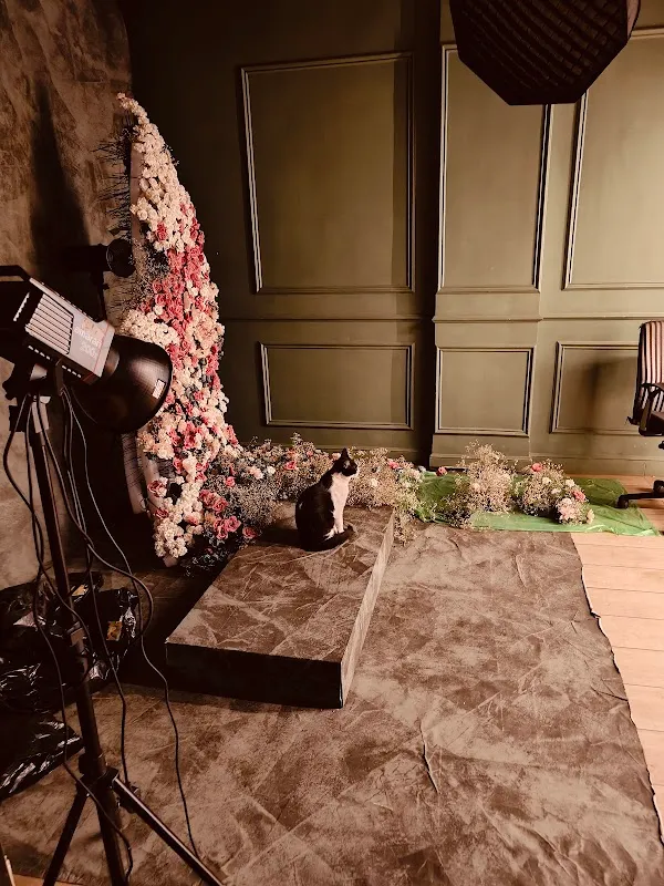 L.A.P Studio