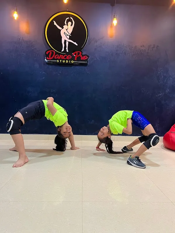 Dance Pro Studio 2