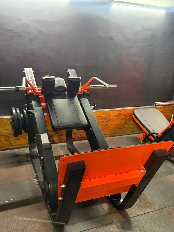 BODY VISION FITNESS