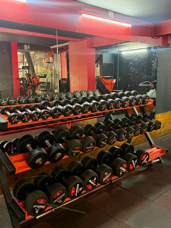 BODY VISION FITNESS