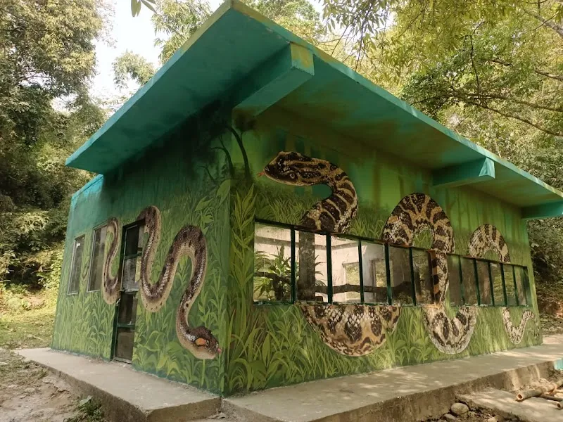 Fine Art Studio by sandeep