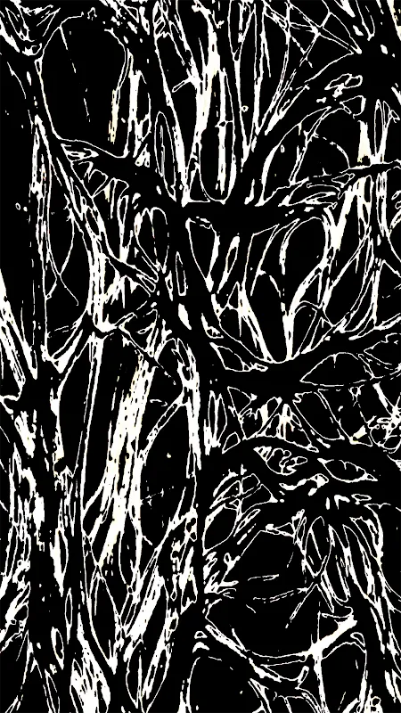 mool: multidimensional space and art collective