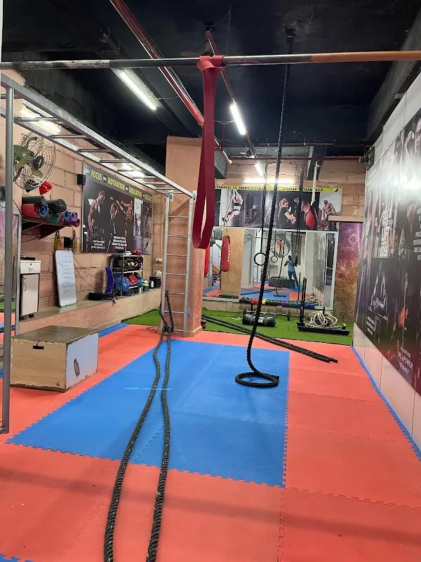 Dharma Fight & Fitness Studio