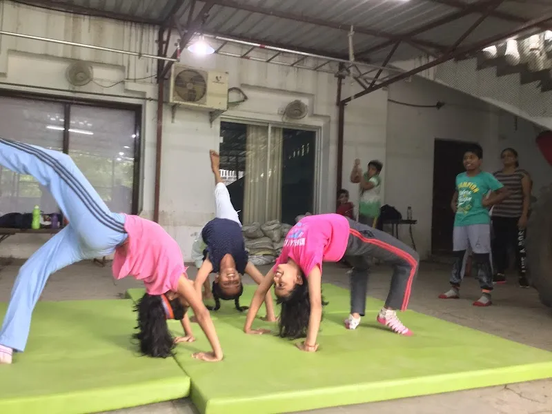 Dharma Fight & Fitness Studio
