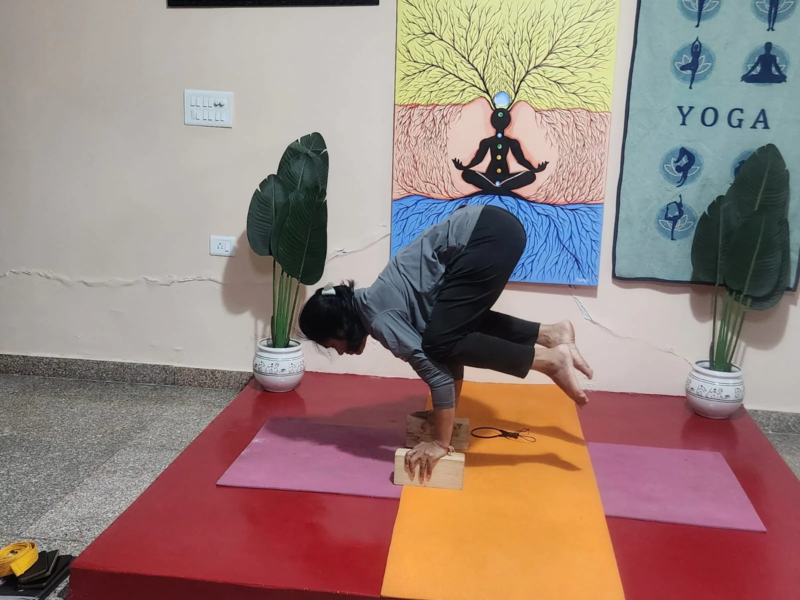 YogPunj