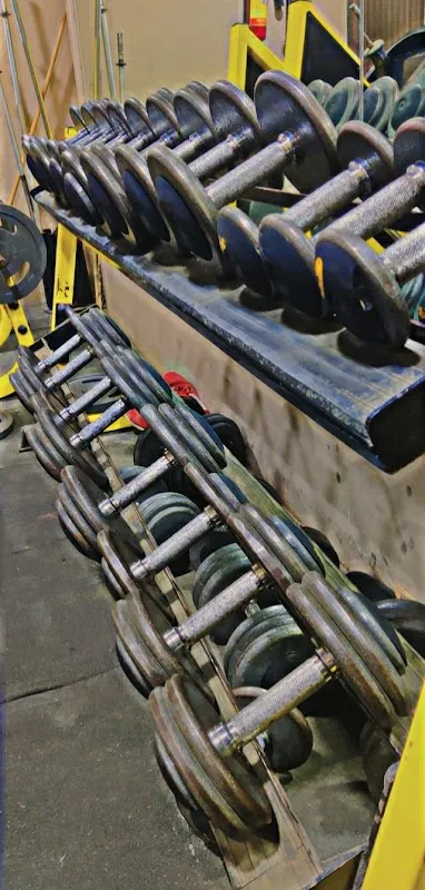 Fitnestic Hub
