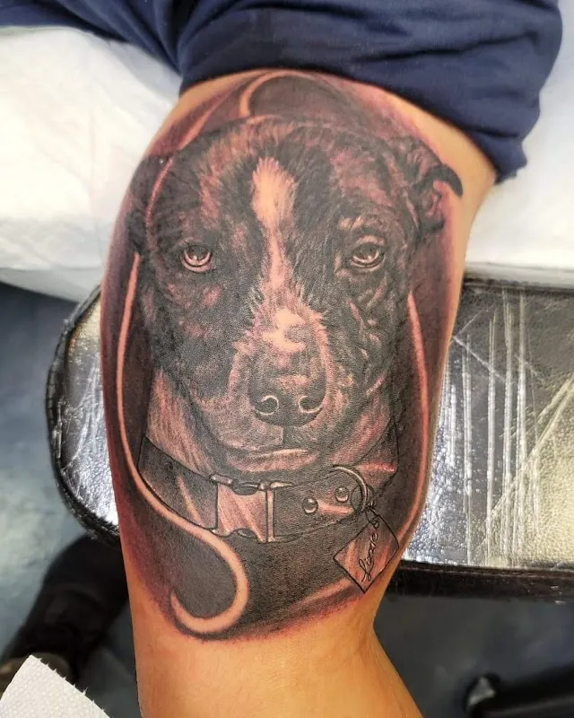 Alpha Ink Studio
