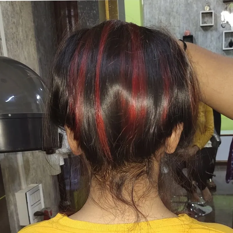 Lavish Looks Professional Salon