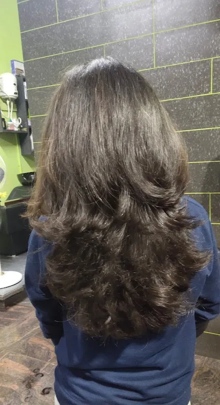Lavish Looks Professional Salon
