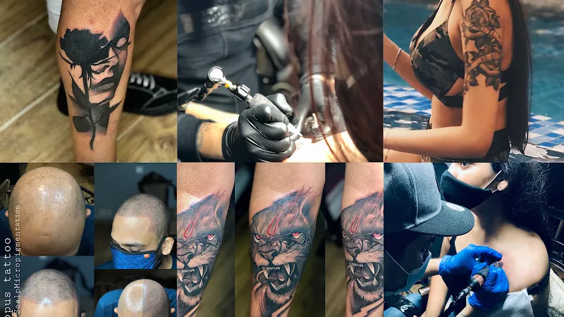 Octopus Tattoo