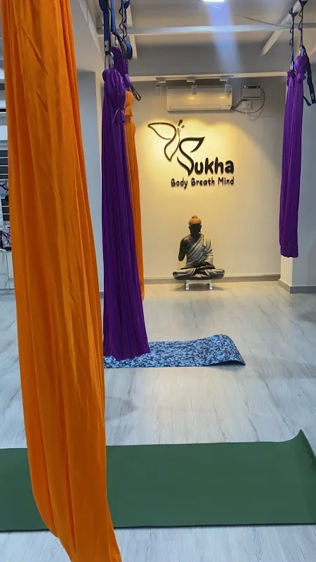 Sukha Aerial Yoga Studio