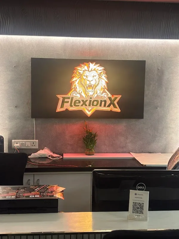 FlexionX