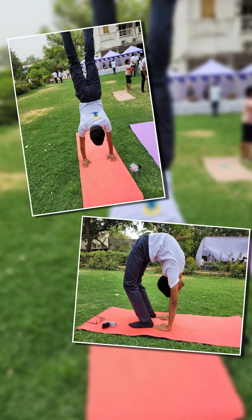 Dronacharya The Gym