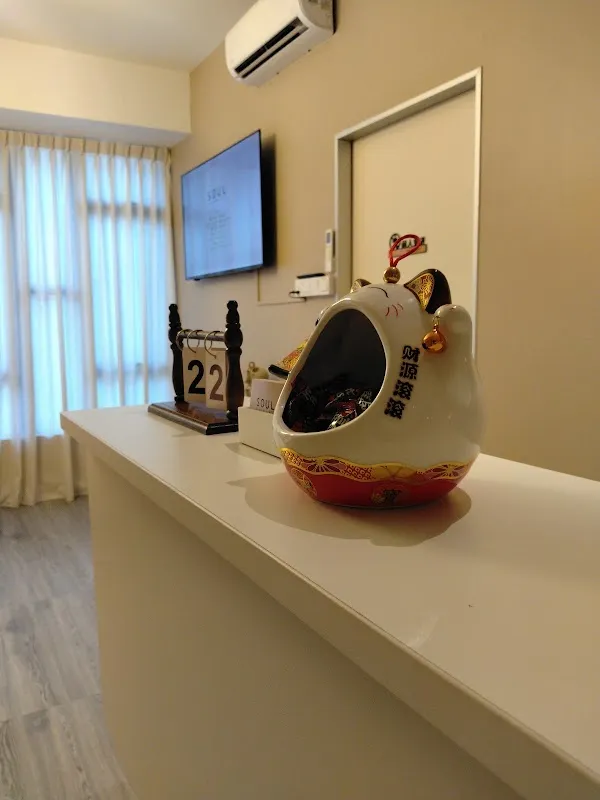 Soul Skin & Wellness Kulai