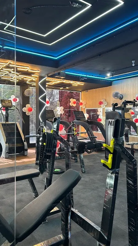 Studio Flex Fitszts