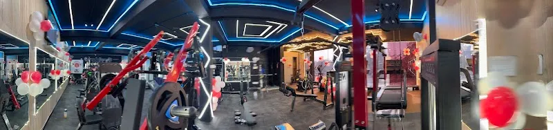 Studio Flex Fitszts