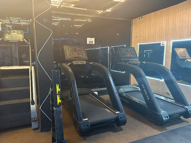 Studio Flex Fitszts