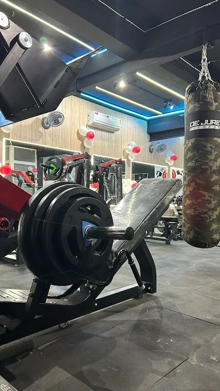 Studio Flex Fitszts