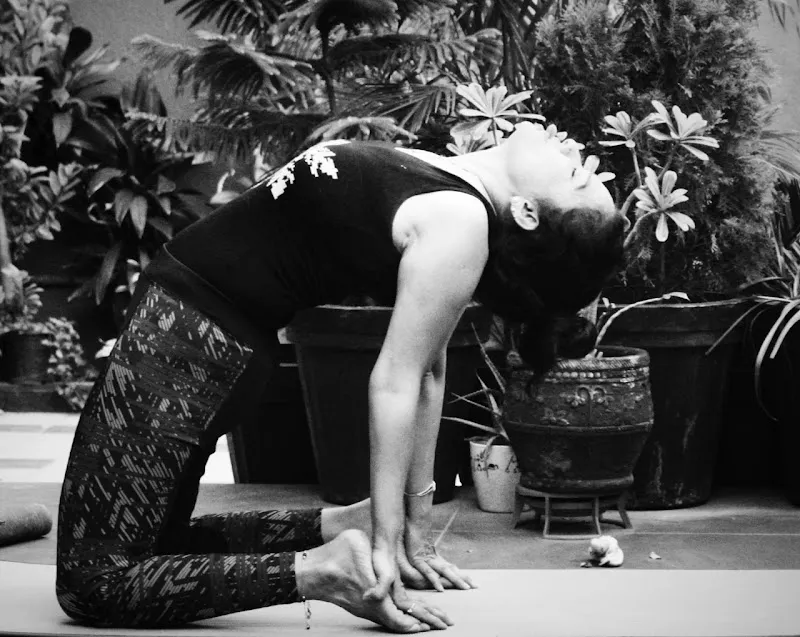 Satyam Yoga & Activity Hub