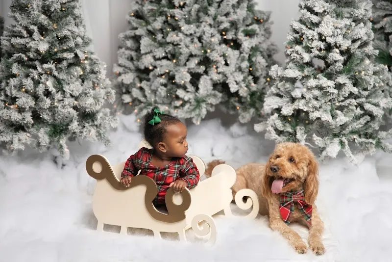 Rock A Snap Baby Photo Studio