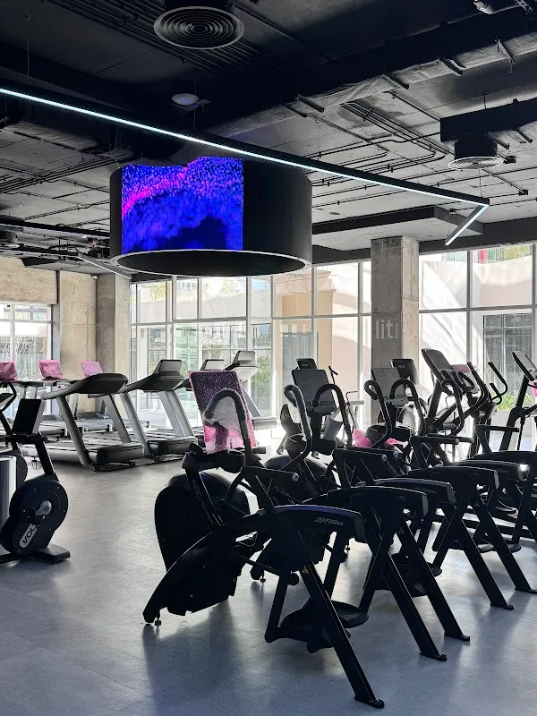 Lit Fitness