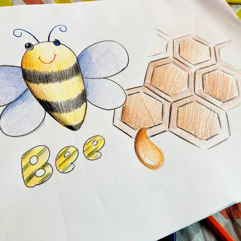 Ziva Art & Craft