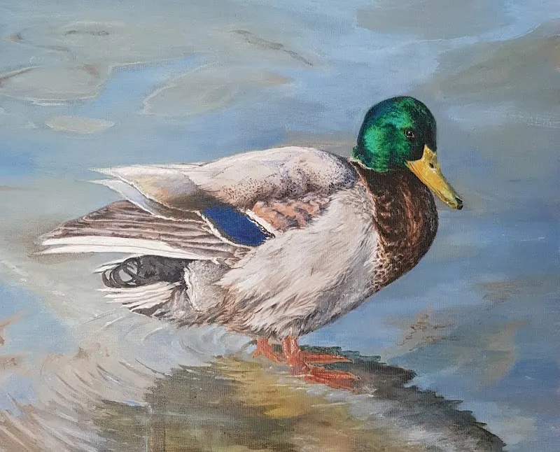 CVL Art