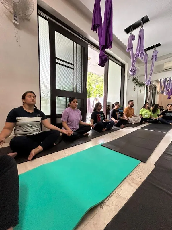 The Yoga Cocoon