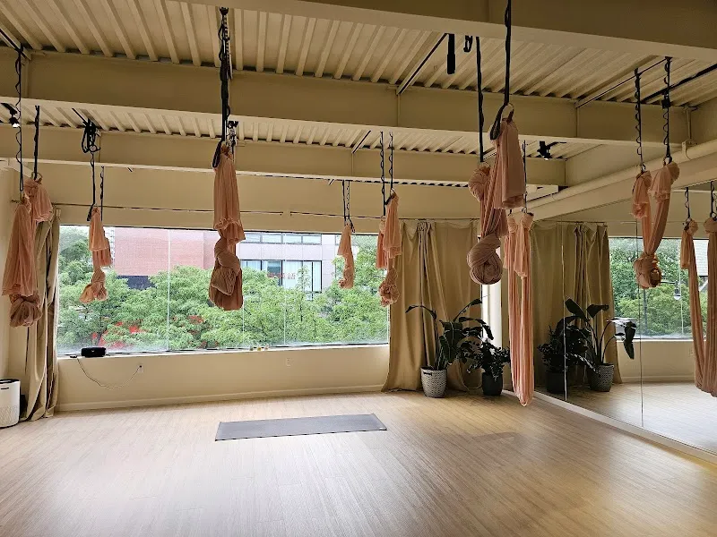 The One Yoga & Pilates