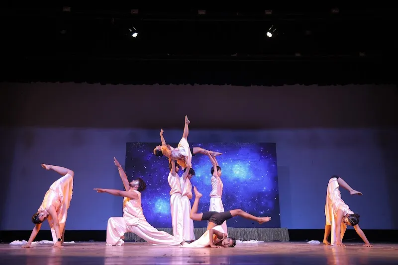 Vibrant Dance Choreography- Professional Dance Academy Agra