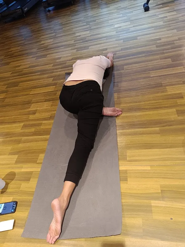Hatha Yoga Prakritik Chikitsa