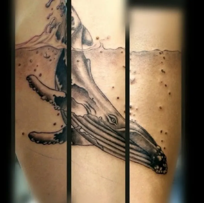 Tattoo studio : Atelier.Tsuro