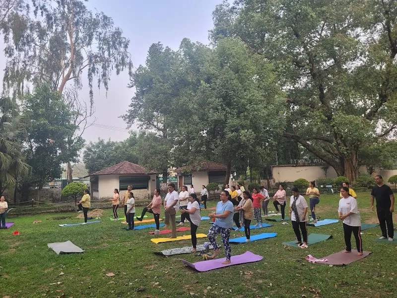 IN Yoga Studio
