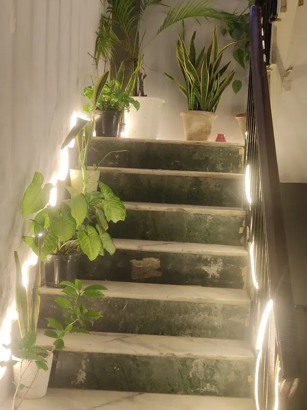 Nisha'z Ayurveda And Wellness Salon | Best Wellness Green Park
