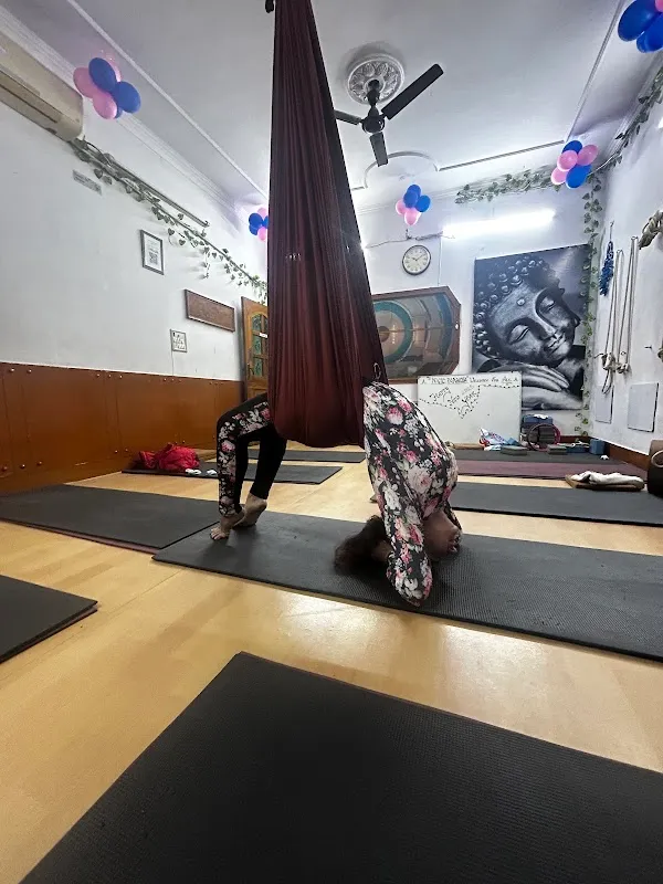 Yogic Panacea Studio