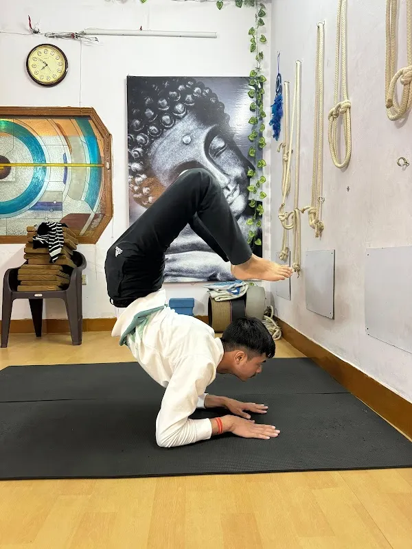 Yogic Panacea Studio